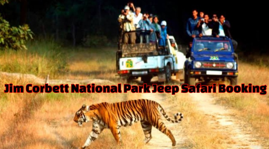 Jim Corbett National Park Jeep Safari Online Booking