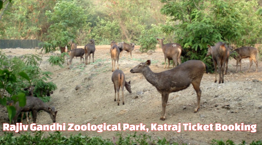 Rajiv Gandhi Zoological Park Ticket Price